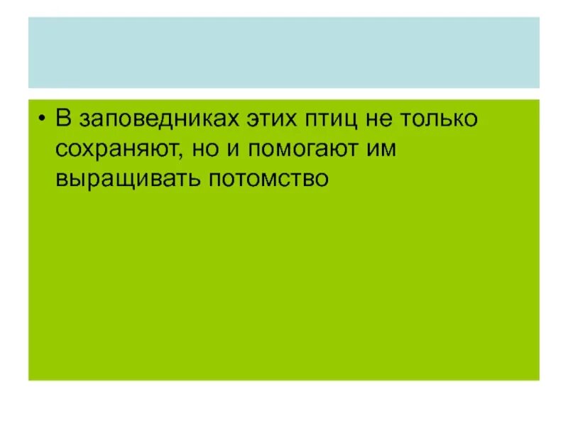 Девиз политики. Лозунги третьего пути. Лозунги политики третьего пути. Главные лозунги характерные для политики третьего пути. Третий путь это в истории.