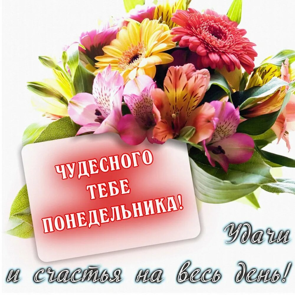 Удачи и самого лучшего дня