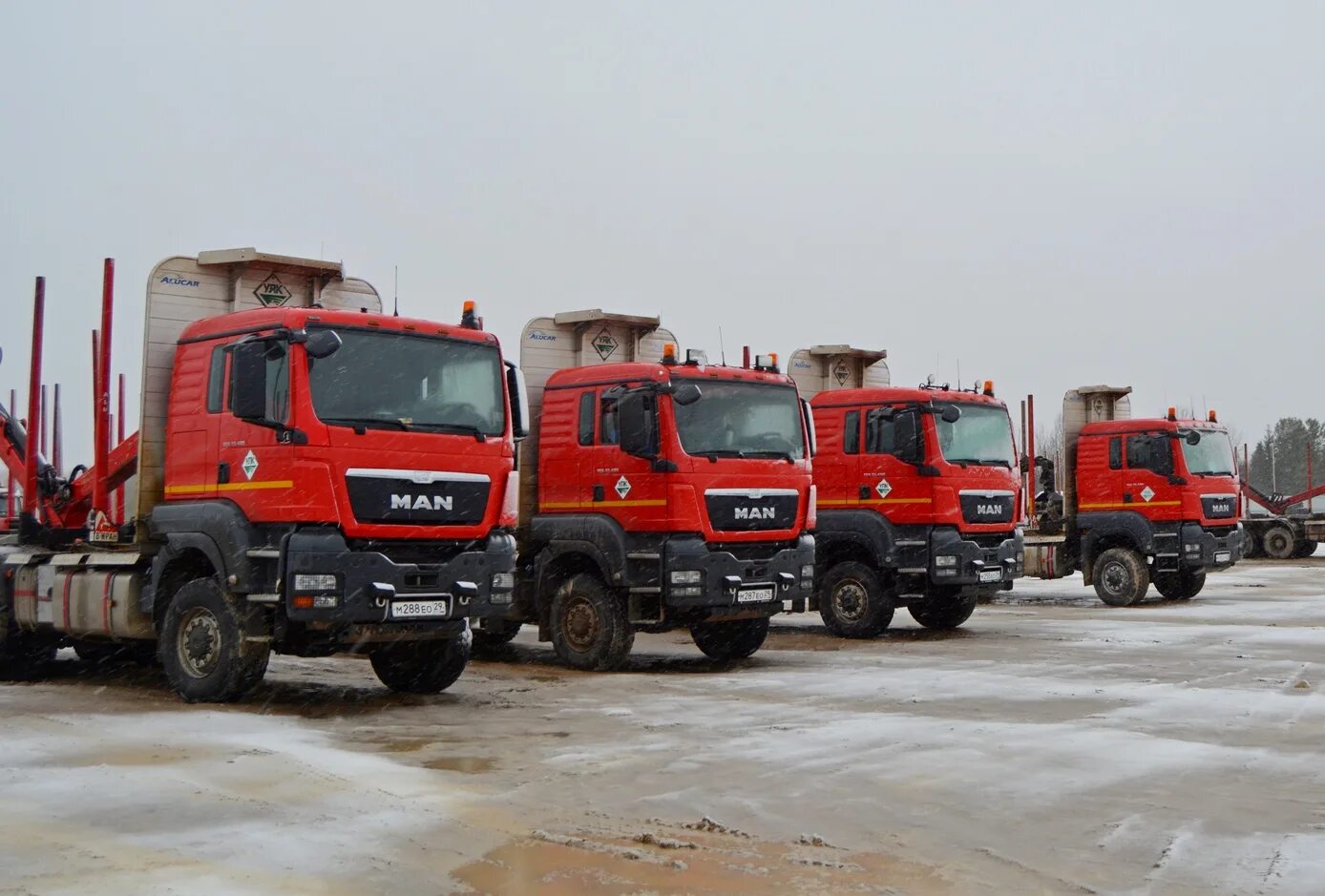 лесовоз сегежа. вольво лесовоз с манипулятором. водитель лесовоза сегежа групп. ман лесовоз. лесовоз вологда.