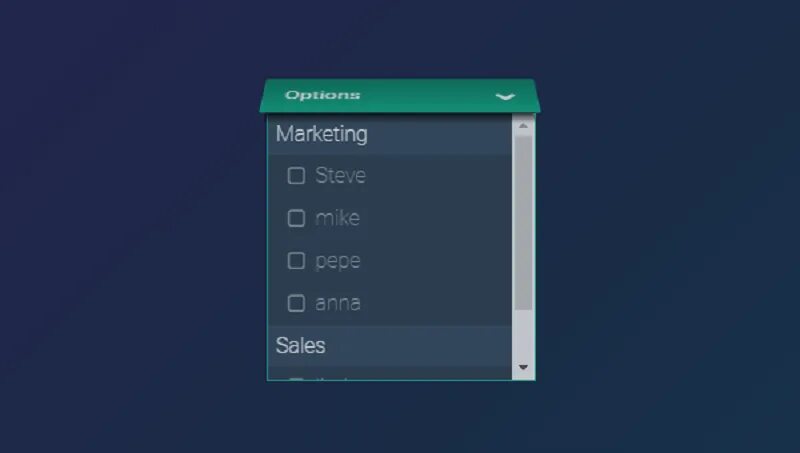 Script select. Кастомный select. select js. кастомный select через input с под уровнем. 100 кнопок css.