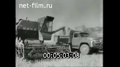 25 совхоз