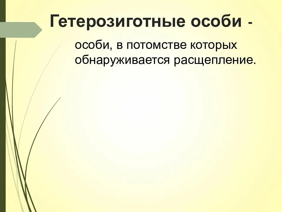 Особи в потомстве которых обнаруживается расщепление называются. Гетерозиготная особь. гетерозиготная особь это в биологии. особи в потомстве которых не обнаруживается расщепление называются.