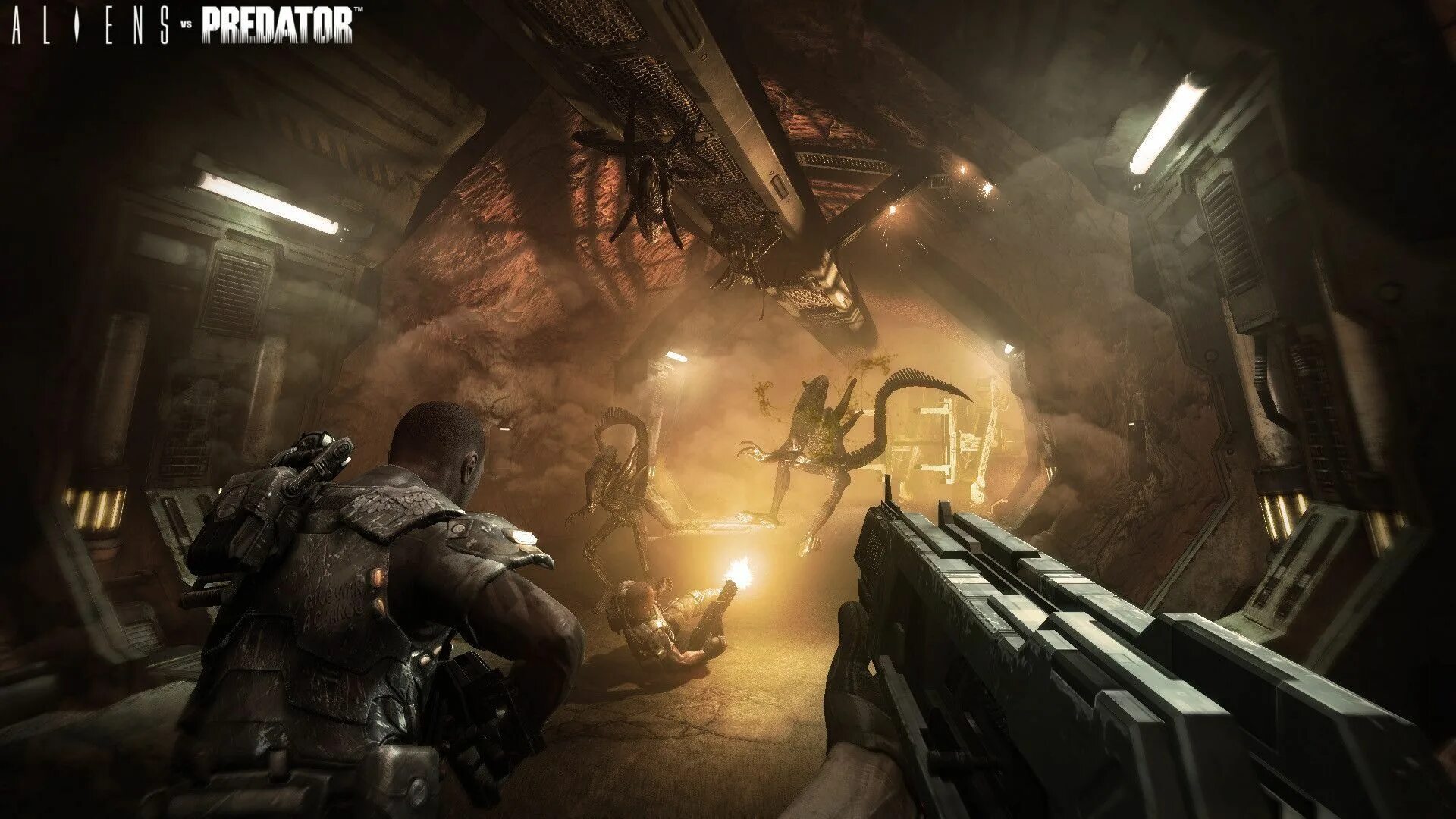 Collapse и collapse: the rage. Игры начало 2010. Игра сингулярити 1. Игры начало 2010. Aliens vs predator xbox 360.