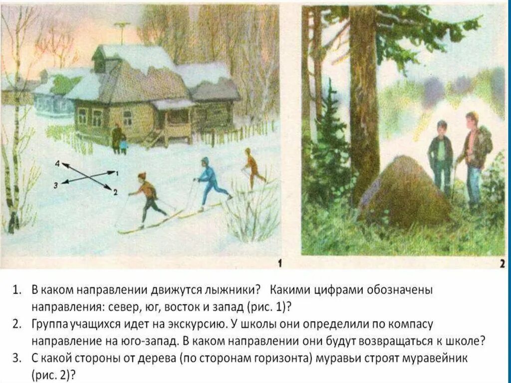 В каком направлении нужно двигаться. В каком направлении двигаться. определите по следам в какую сторону прошли лыжники. тест в какую сторону движутся деревья. в каком направлении движется общество.