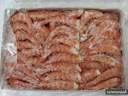 Морепродукты краснодар
