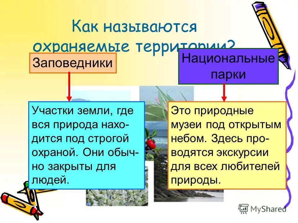 Природа находится под охраной. Участки земли где вся природа находится под строгой охраной. где природа находится под охраной. территория где природа находится под строгой охраной называется. заповедники это участки земли где.