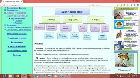 Биотические связи уровень организации