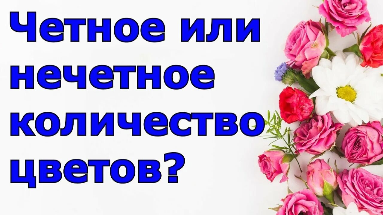 Живым дарят четное или нечетное количество цветов. Четное число цветов. Четное и нечетное число цветов. Чётное или Нечётное количество цветов. Нечётное число цветов в букете.