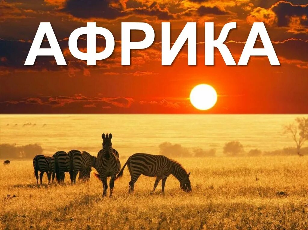 Сделай африка. Африка надпись. тема африка. африка презентация. африка надпись красивая.