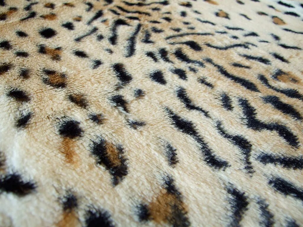 Велсофт леопард. Плед велсофт 200 220 леопард. Плед снежный Барс. Леопардовый плед. Пестрая шкура