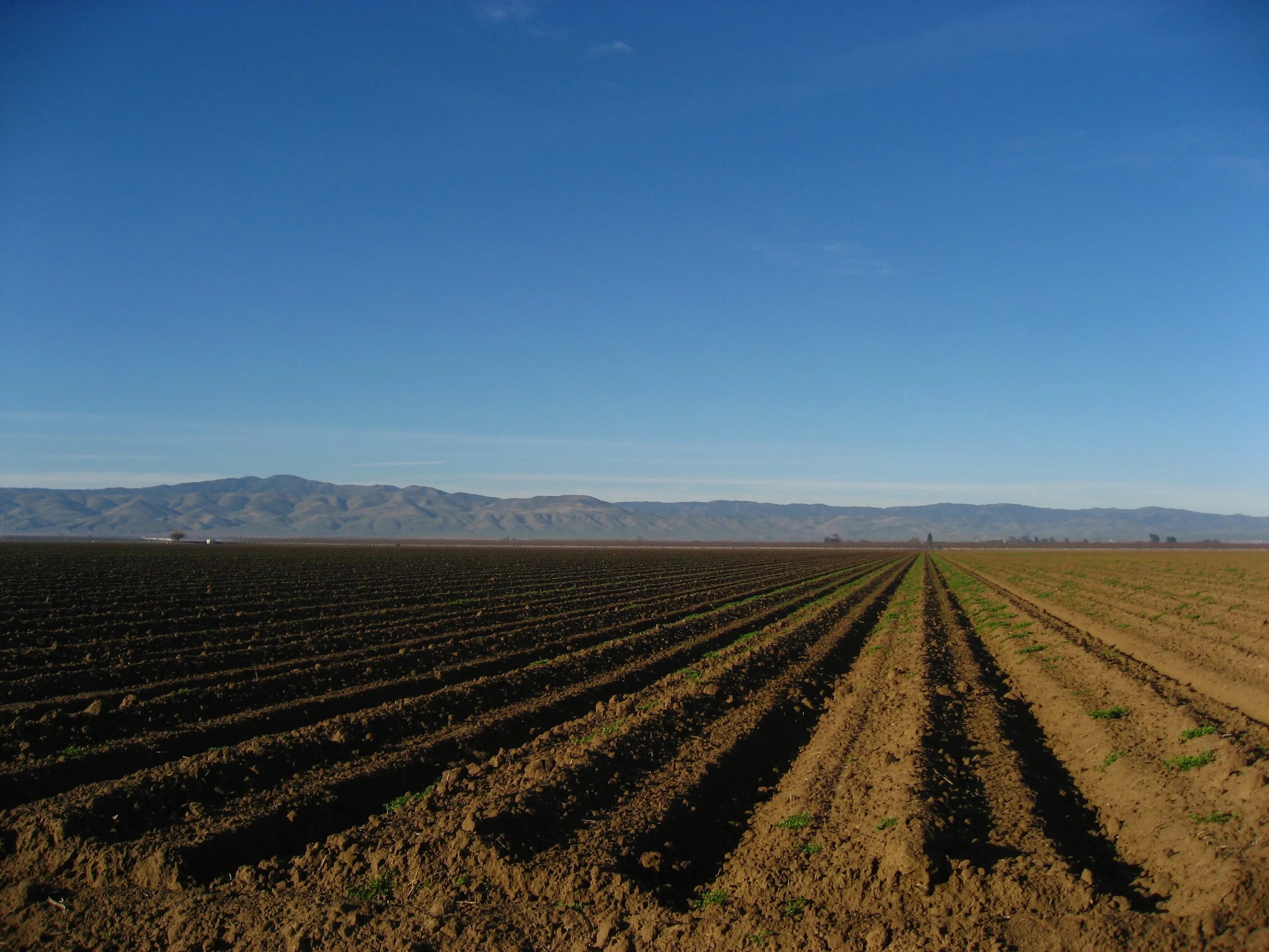 Калифорния сельское хозяйство. Земельные почвы США. Штат Аризона сельское хозяйство.