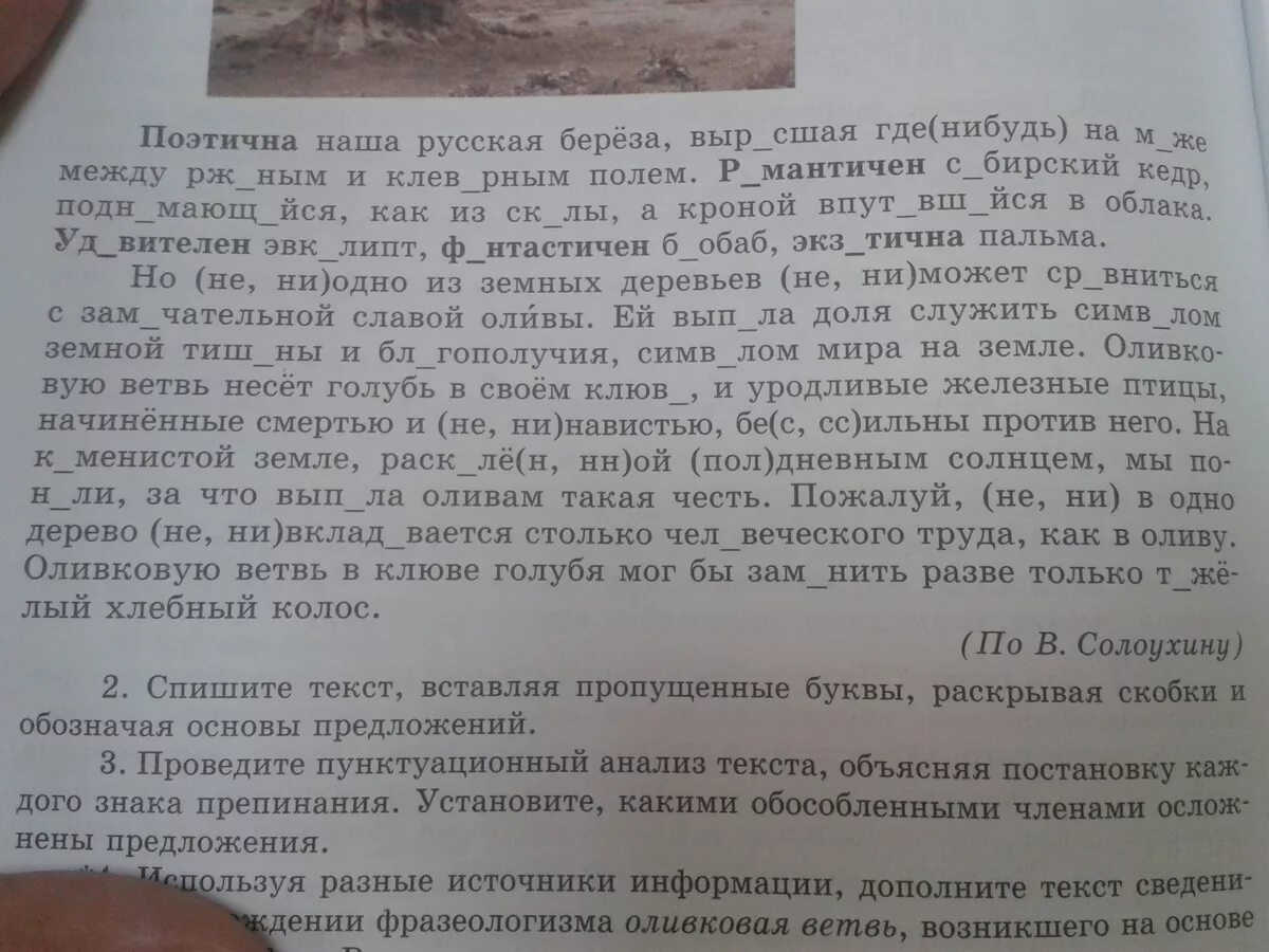 Как нибудь где нибудь текст. Поэтична наша русская береза. поэтична наша русская береза выросшая. текст поэтична наша русская природа. поэтическая наша русская береза выросшая где-нибудь.
