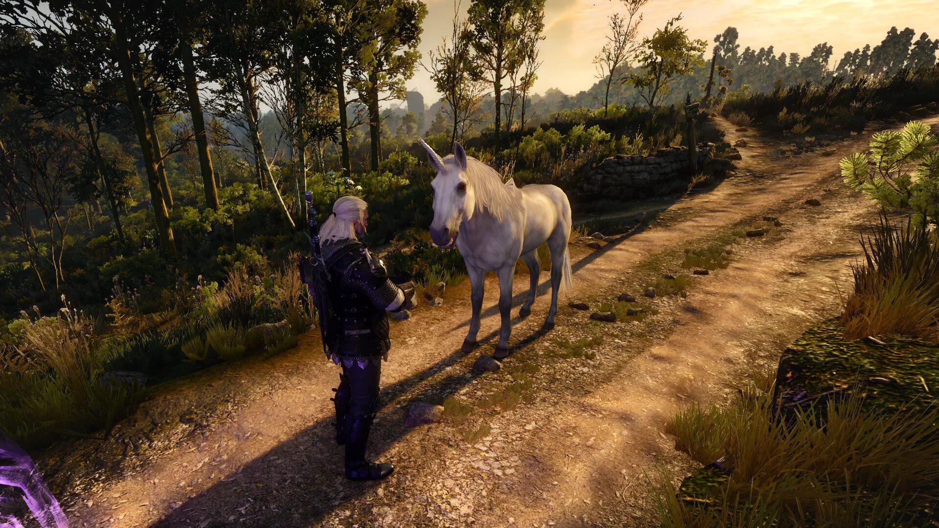 Ведьмаке плотва в доспехах. The witcher 3 wild hunt плотва. Ведьмак 3 мод на плотву. Ведьмак 3 темерские шоры. The witcher 3 wild hunt плотва.