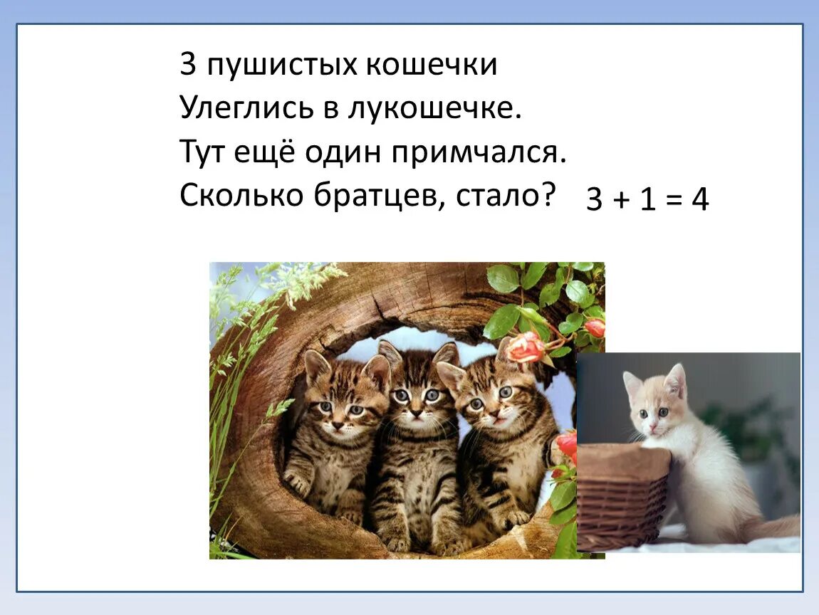 4 4 тут будут одна. Три пушистых кошечки улеглись в лукошечке. 3 Кошечки в лукошечке. Уляглись или улеглись. Пушистый котенок предложение 1 класс.