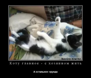 Остальные ерунда
