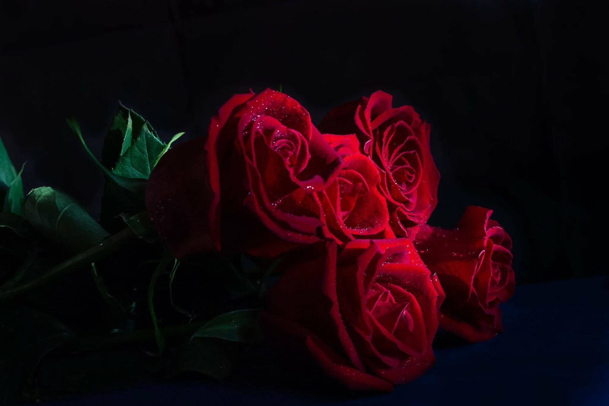 Букет роз ночью. Цветы на темном фоне. Цветы на черном фоне. Цветы розы на черном фоне. Букет роз на темном фоне.