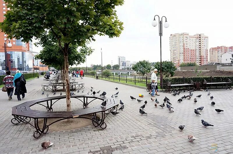 д. щелковское 10. щелковское 10. щелковское ш. пл ленина 10 щелково.