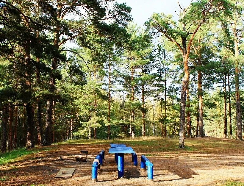 Сайт загородного парка. Загородный парк во Владимире.