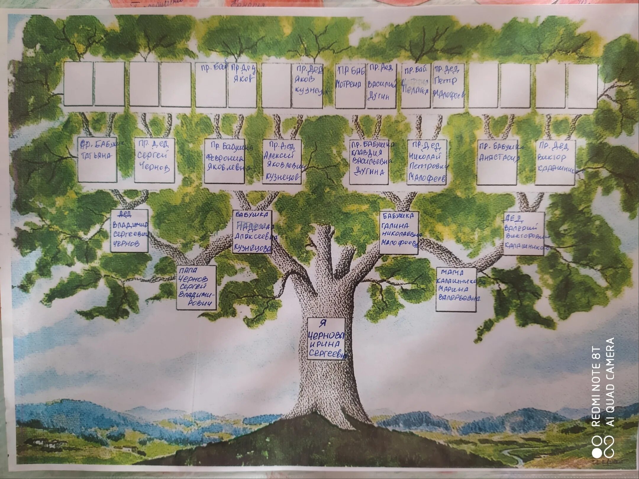 Как сделать древо 2 класс. Проект дерево родословной. Проект генеалогическое дерево. Проект родословная. Проект родословное дерево семьи.