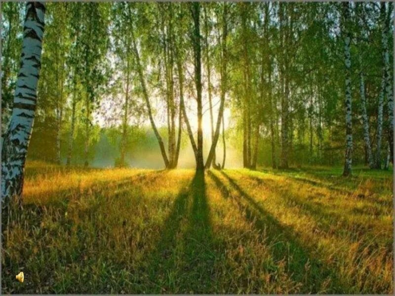 Стихотворение над росистой поляне. Христианское отношение к природе. Мой храм это лес а свод его небо. Природа наш дом родной презентация. Отношение христианина к природе.