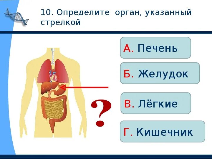 Тест строение человека 3 класс перспектива