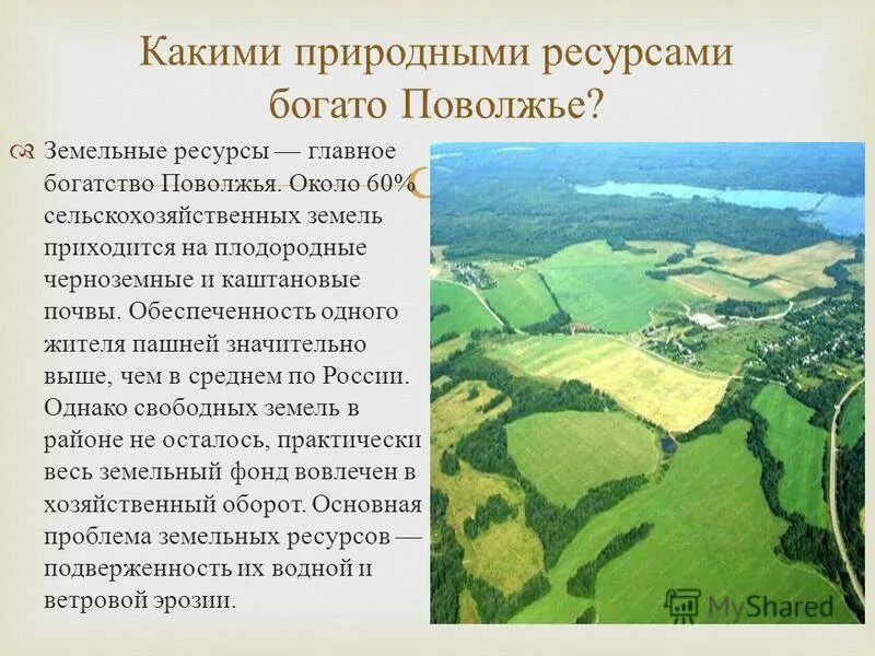 Типы почв Поволжья. Почвенно земельные ресурсы Поволжья. Природные условия и ресурсы Поволжья. Главное богатство Поволжья. Что из перечисленного характерно для рельефа поволжья