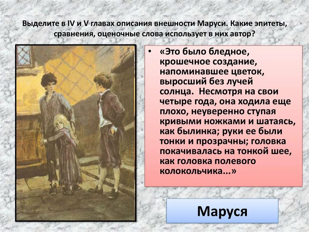 Условия жизни маруси. Это было бледное крошечное создание напоминавшее. Портретная характеристика в дурном обществе.