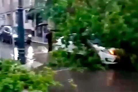Покажи ураган в москве