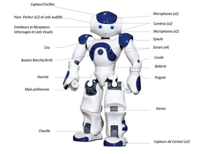 Описание робота человека. Части робота. Строение робота. Из чего состоит робот. Части робототехники.
