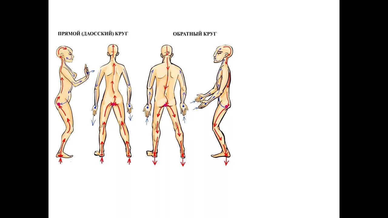 Прямой обратный круг. Прямой и обратный даосский круг. Обратный даосский круг. Прямой даосский круг и обратный схема. Даосский круг и обратный круг Моносов.