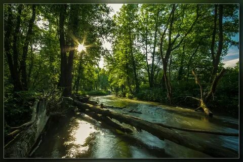 Река вашана