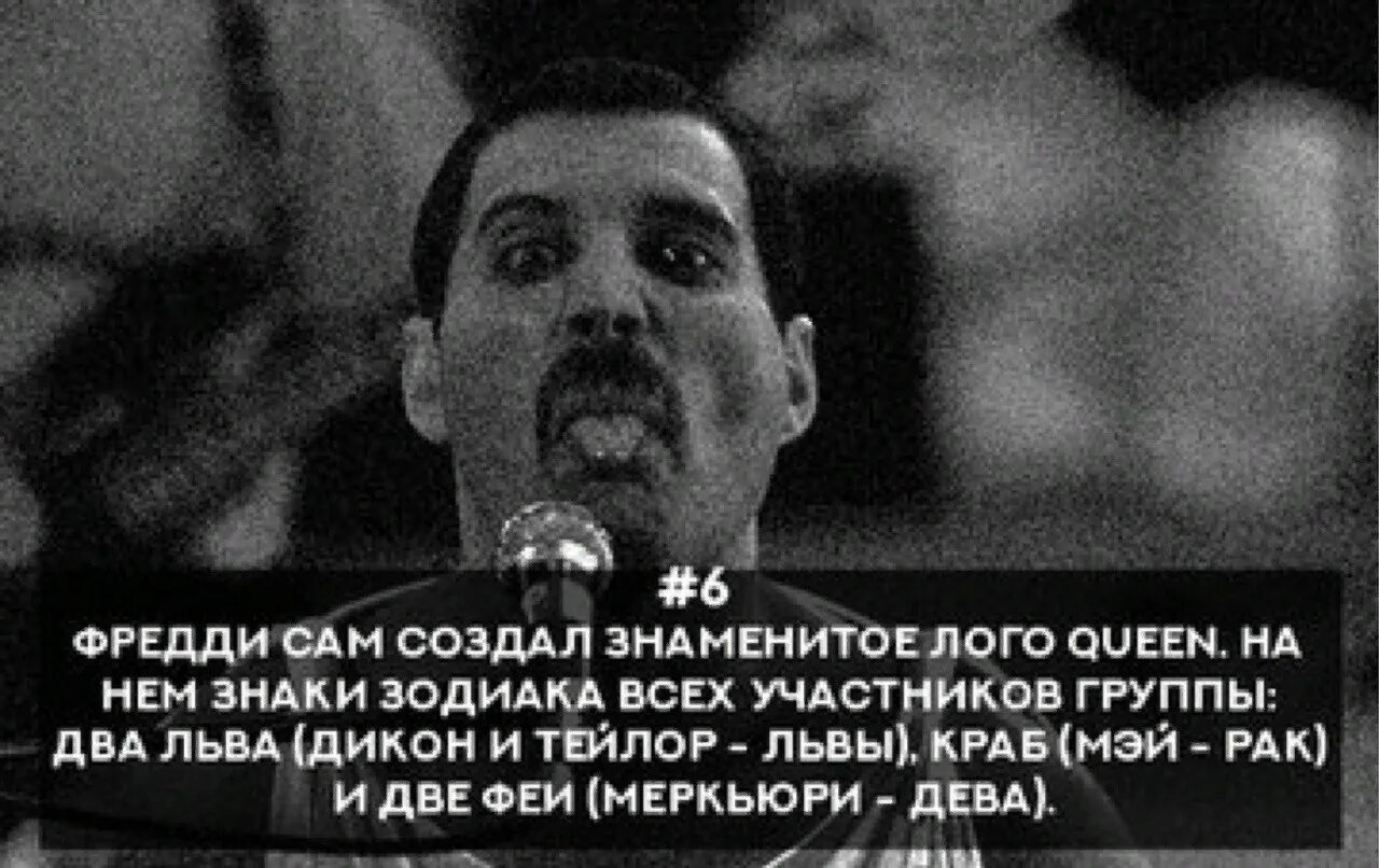 Фраза фредди. Фразы Фредди Меркьюри. Фредди Меркури высказывания. Freddie Mercury цитаты. Цитаты Фредди.