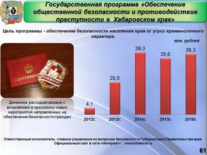Программа обеспечение общественного порядка