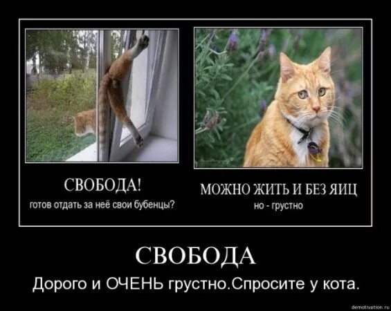 Живу Годами Без Секса