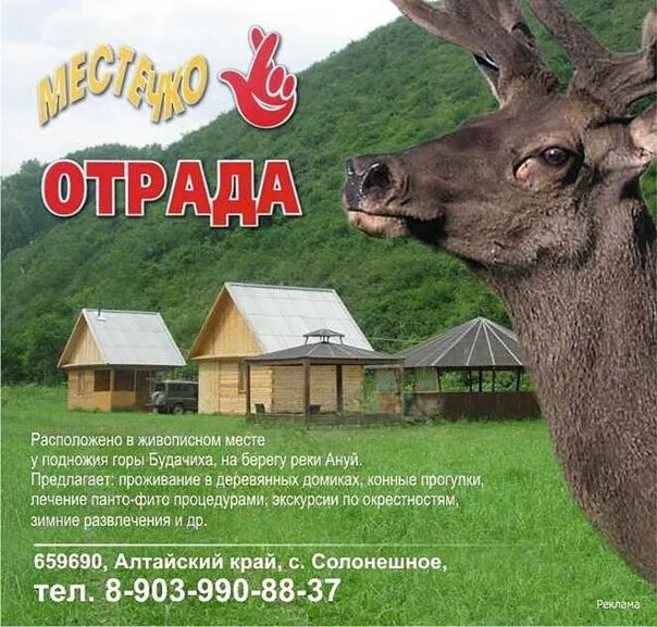 Отрада отдых брянск. Отрада Брянск. Парк отель Отрада Брянск. Отрада база отдыха. Парк отель Лесная сказка Солонешенский район.