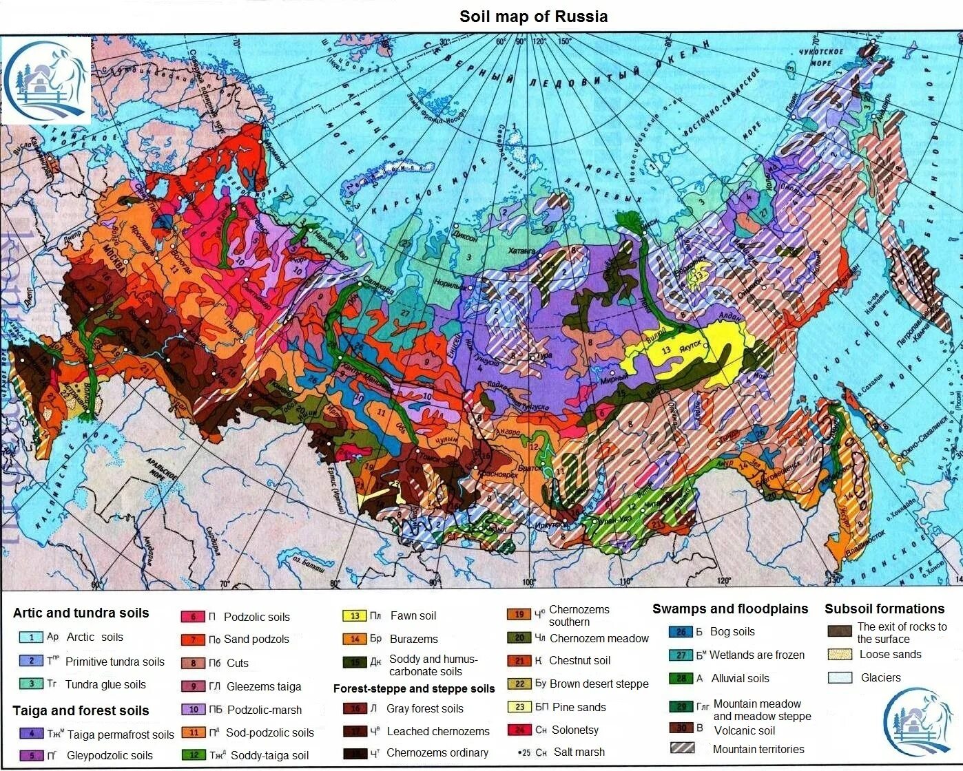 Типы почв контурная карта. Карта почв России атлас. Почвы России карта 8 класс география атлас. Типы почв России карта. Карта почв России 8 класс атлас.