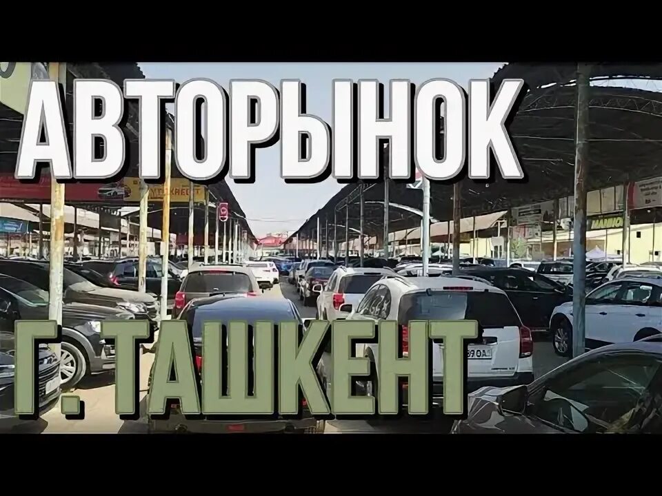 Авторынка ташкент. Авторынок ташкент. рынок чорсу в ташкенте. логотип авто рынка узбекистан. рынок автозапчастей сергели ташкент.