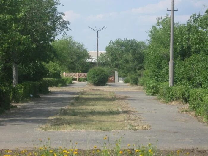 Парк в камышине. Аллея героев в камышине. Камышин волгоградская область парк текстильщиков. Парк комсомольцев камышин. Парк город камышин.