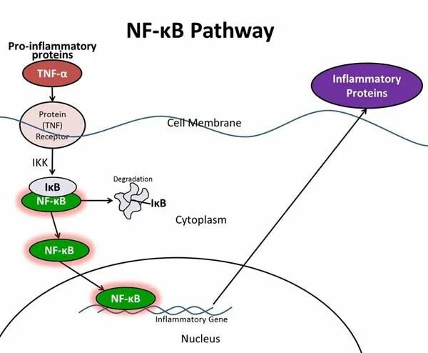 Pathways 2