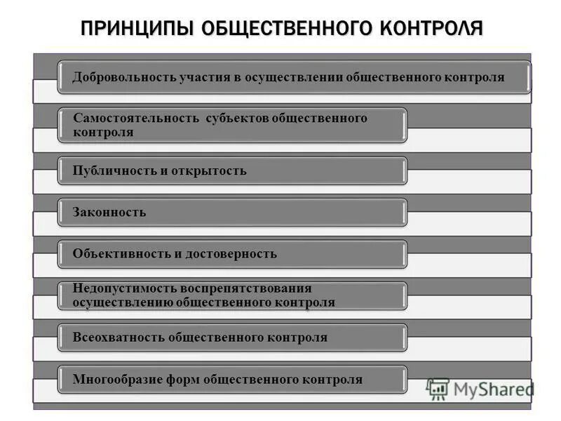 Осуществляемое субъектом общественного контроля