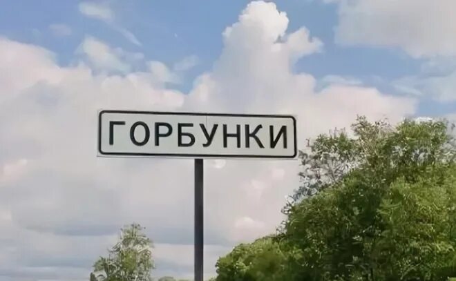 Горбунки 49 дом. Горбунки глава. Горбунки глава. Горбунки глава. Горбунковское сельское поселение.