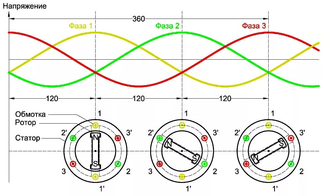 Трёхфазное напряжение 380 вольт схема. 3х фазный Генератор схема. Осциллограмма 3 фазного напряжения. Синусоида трехфазного переменного тока. 1 фаза 2 фазы 3 фазы разница