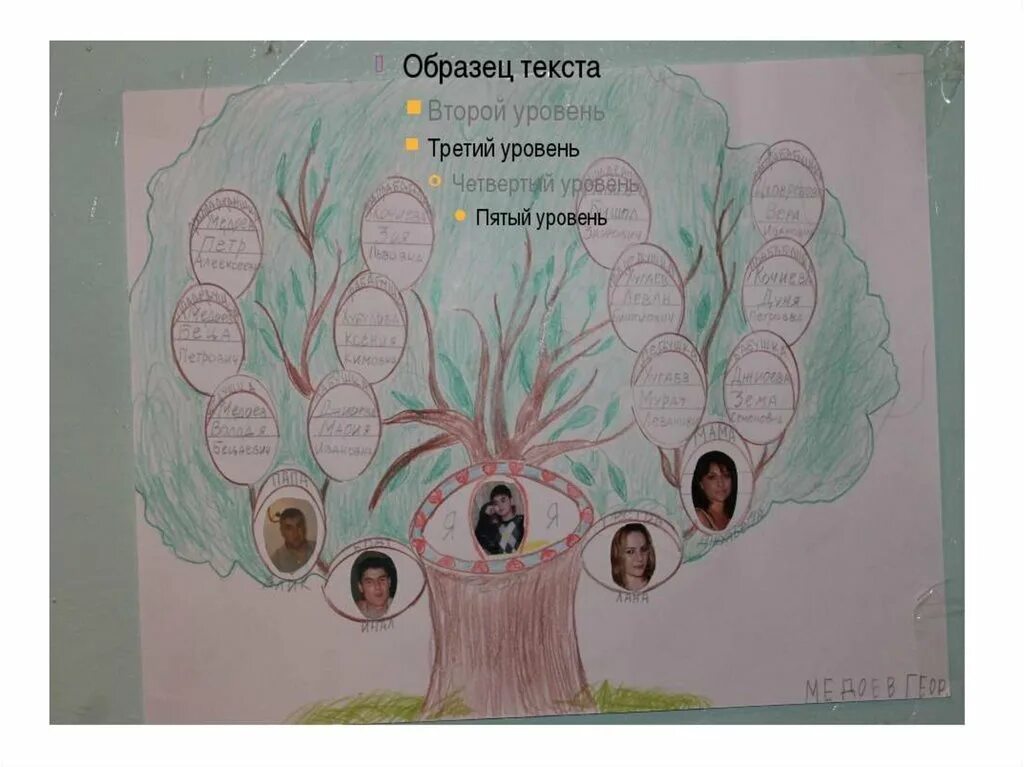 Проектная работа родословная моей семьи 2 класс. Дерево по окружающему миру 2 класс родословная. Проект родословная моей семьи 2 класс окружающий мир. Генеалогическое Древо проект 2 класс окружающий мир проект. Окружающий мир плешаков 2 проект родословная