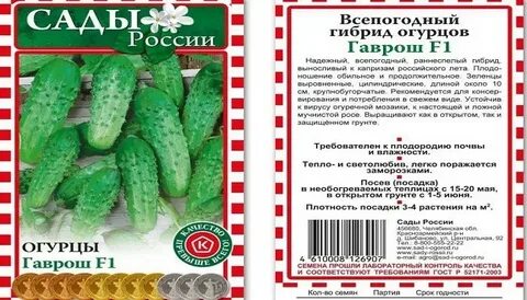 Лучший сорт огурцов для средней полосы