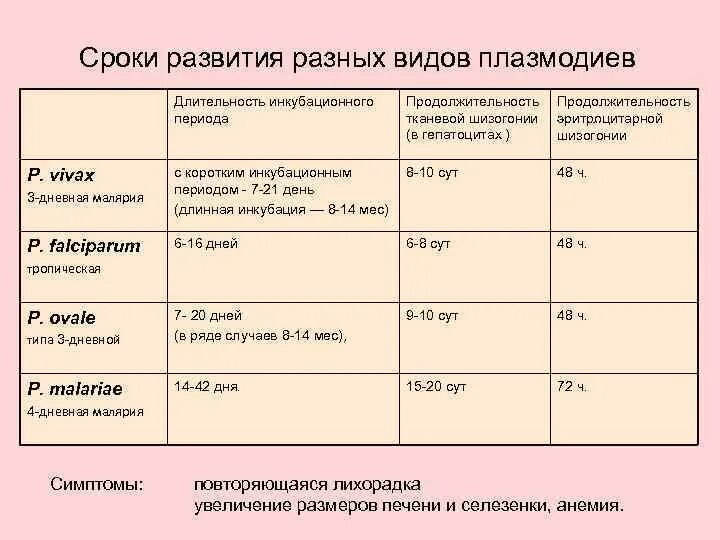 Малярийный плазмодий сравнительная таблица. Сравнительная характеристика 4 видов малярийных плазмодиев. Плазмодии малярии таблица. Виды плазмодиев таблица.