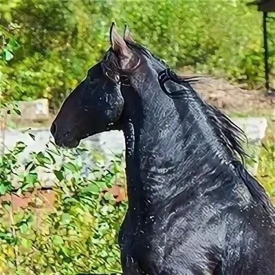 Описание в отпуске. Вернется через неделю.