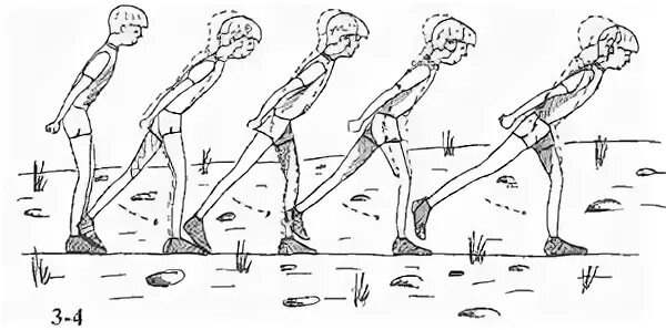 имитационные упражнения без палок на месте. скользящий шаг на лыжах с палками. имитация хода на месте. имитация коньковых ходов. имитационные упражнения на лыжах.