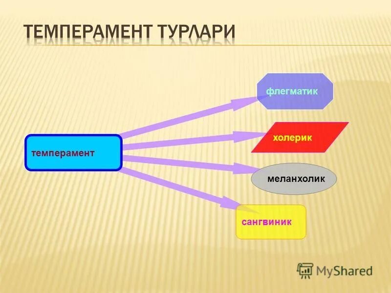 люди с разным темпераментом. темперамент. сангвиник меланхолик флегматик типы характера. разные эмоции. типы высшей нервной деятельности.
