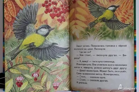 Пришвин листья