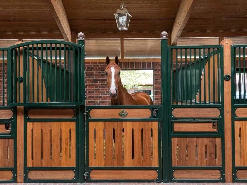 Денники в конюшне. Конная ферма «лошади Дзержинский». Конюшня Solana stables. Денник для лошади. Конюшня считавшаяся морфологический